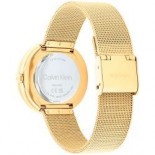 CALVIN KLEIN Twisted Bezel 34 mm Quartz 25200150