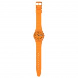 Swatch Essentials - Trend Lines In Sienna SO28O703