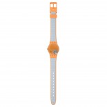 Swatch Essentials - View From a Mesa LO116