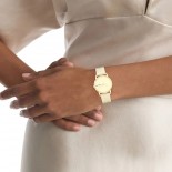 CALVIN KLEIN Timeless 30 mm Quartz 25100035