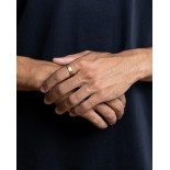 GEMINI (ICE WATCH) Bague Verso Gold Titane 6 mm VER03