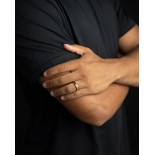 GEMINI (ICE WATCH) Bague Rota Light Tiger Oeil de Tigre Titane 6 mm ROT03