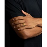 GEMINI (ICE WATCH) Bague Credo Gold Tiger Titane plaqué or 18 carats Oeil de Tigre CRE04